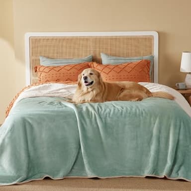 Bedsure Waterproof Blanket for Bed - Sherpa Fleece Waterproof Dog Blankets for Large Dogs, Pet Blankets for Bed/Couch/Dog Crate, Soft Plush Reversible Furniture Protector, Queen, 90"x86", Light Green - Image 1