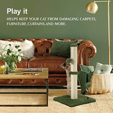 MECOOL Cat Scratching Post Premium Basics Kitten Scratcher Sisal Scratch Posts with Hanging Ball 22in for Kittens or Smaller Cats, Cactus Green - Image 3