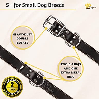 ADITYNA Heavy-Duty Black Leather Dog Collar for Small Dogs - Soft Padded for Comfort - Small Dog Collar for Walking, Training, and Hiking - Image 4