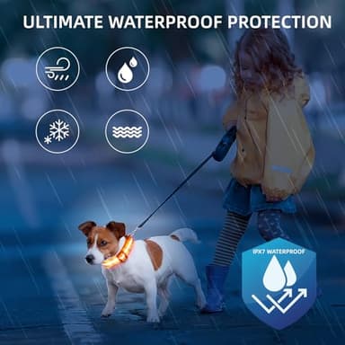 Super Bright LED Dog Collar - Fully Waterproof & Adjustable Glow Collar - USB-C Rechargeable for Night Walking, Safety - Flashing Lighted Collar for Dogs(Orange,L) - Image 3
