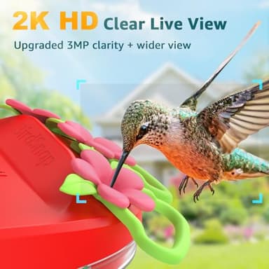 birdsnap® Hummingbird Feeder with Camera Solar Powered, 2K Live Stream AI Bird Identification with 32GB Card Ant Moat Weatherproof WiFi Smart Bird Feeder Camera for Outdoor Birds Watching Gifts - Image 4