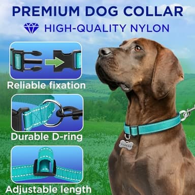 TECEUM Reflective Dog Collar – Teal – S – Basic Nylon Pet Collar – Quick Release Buckle – Fits Small, Medium and Large Dogs, Puppies, Cats – ESA & Service Dog Options - Image 2