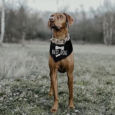 Family Kitchen Best Dog Wedding Black Pet Bandana, Bridal Party Dog Bandana, Wedding Photo Prop, Pet Scarf Accessories - Image 2