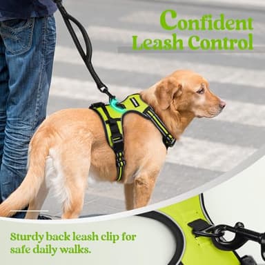 rabbitgoo Dog Harness No Pull with 2 Leash Clips, Adjustable Soft Padded, Reflective Oxford No Choke Pet Vest with Easy Control Handle for Small Dogs, Wild Lime,S - Image 6