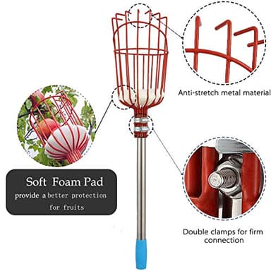 HOSKO 5.5FT Fruit Picker Tool, Lightweight High-Grade Stainless Steel Adjustable Fruit Picker with Metal Twist-on Basket, Suit for Apple Pear Cherry Mango Guava Orange Avocados Etc Fruit Picking - Image 2