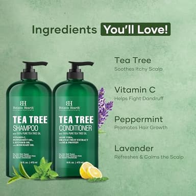 Botanic Hearth Tea Tree Shampoo And Conditioner Set | With 100% Pure Tea Tree Oil, For Itchy And Dry Scalp, Sulfate/Paraben Free | For Men And Women | 16 Fl Oz Each - Image 2