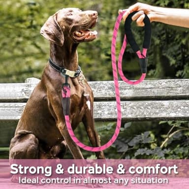 COOYOO Dog Leash 6 FT Heavy Duty - Comfortable Padded Handle - 1/2 inch Reflective Dog Leash for Medium Large Dogs with Poo Bag Dispenser - Image 2