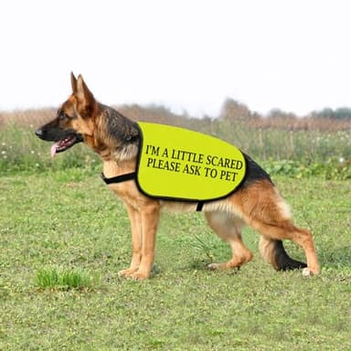 Nervous Dog Jacket Vest A Little Scared Please Ask to Pet Dog Slogan Vest Social Distancing (Please Ask to pet-Large) - Image 6