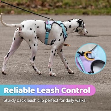 QQPETS No Pull Dog Harness with 2 Leash Clips,Adjustable Soft Padded Dog Vest, Reflective Outdoor Pet Oxford Vest with Easy Control Handle for Small to Large Dogs Walking Training - Image 4
