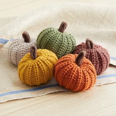 Your Heart's Content MINI Knit Pumpkins Set of 5, Fall Favorite, Gifts for Women, Autumn Bowl fillers Fall Farmhouse Tier Tray Decor, Decorative Pumpkins for Friend (Autumn Set - Image 4