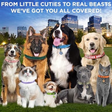 TECEUM Reflective Dog Collar – Teal – M – Extra Soft Padding – Basic Nylon Pet Collar – Quick Release Buckle – Fits Small, Medium and Large Dogs, Puppies, Cats – ESA & Service Dog Options - Image 5