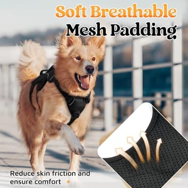 rabbitgoo Escape Proof Dog Harness, Soft Padded Full Body Pet Harness, Reflective Adjustable No Pull Vest with Lift Handle and Leash Clip for Large Dogs Walking Hiking Training, M, Black - Image 7