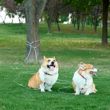 Amazon Basics Tie-Out Cable for Dogs up to 90 lbs, 25 feet, White - Image 6