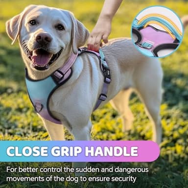 QQPETS No Pull Dog Harness with 2 Leash Clips,Adjustable Soft Padded Dog Vest, Reflective Outdoor Pet Oxford Vest with Easy Control Handle for Small to Large Dogs Walking Training - Image 5