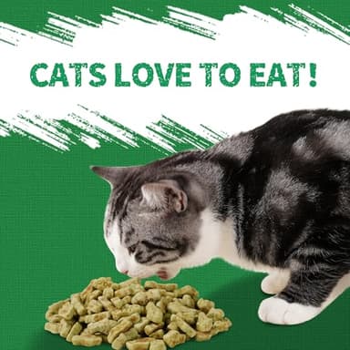 Just Try 13.4 OZ Cat Treats for Indoor Cats Hairball Control Natural Salmon Healthy Cat Grass Treats Kitten Snacks Training Biscuits Catnip for Cats Dental Care - Image 3