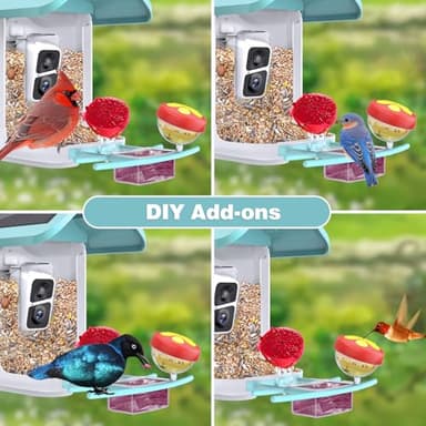 Viubird Bird Feeder with Camera: Solar Powered Smart Bird Camera Feeder 2K Live Feed for Backyard - AI Identify Auto Capture Videos, Gifts for Birdlovers Mom Dad, 2.4GHz WiFi - Image 6