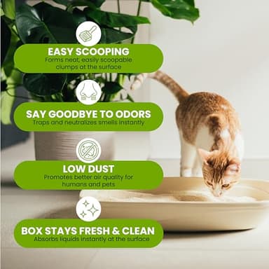 Almo Nature Soft Texture Cat Litter 10 lbs - Plant-Based, Clumping, Biodegradable, Non-Toxic, Compostable, Eco-Friendly, Odor Control, Low Dust, Safe for Cats & Kittens - Image 5