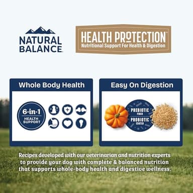 Natural Balance Health Protection Dry Dog Food – Whole Body Health, Easy on Digestion Dog Food Made with Salmon, Brown Rice & Pumpkin for Dogs - 4lbs. - Image 3