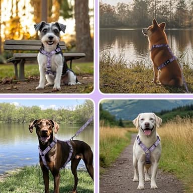 Dog Harness Leash Set, No Pull Adjustable Halter Cute Comfort Padded Handle for Medium Sized Large Small Dogs Walking Training Running with Reflective(XSmall,Purple) - Image 6
