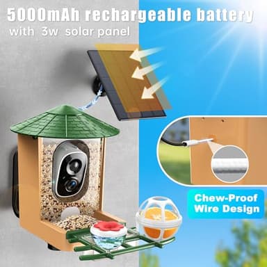 Smart Bird Feeder with Camera with AI Identify Birds Species & Solar Panel, WiFi Birdfeeder with Cam, 2K Live View, Chew-Proof & Waterproof Design, Real-Time App Alerts, Gift for Bird Lovers, Green - Image 2