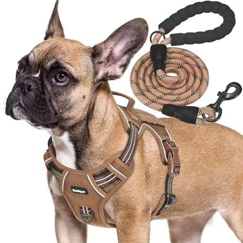 Beebiepet Heavy Duty Tactical Dog Harness for Medium Dogs, Brown, Molle System, Four-point Adjustment, Anti-lost ID Tag, Includes 5ft Leash - Image 1
