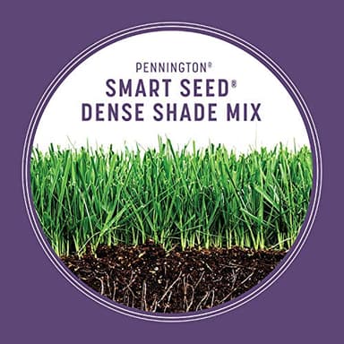Pennington Smart Seed Dense Shade Grass Mix Bag 7 lb - Image 5