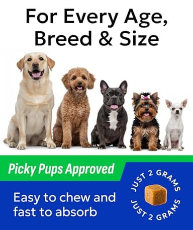BARK&SPARK Probiotics for Dogs Digestive Health w/Enzymes - Diarrhea Gas Treatment Upset Stomach Relief - Allergy & Itchy Skin - Pet Dogs Probiotics - Digestion Supplement Treat (120Ct Chicken) - Image 5