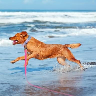 Wolfone 40ft Pink Long Leash - Waterproof Training Dog Leash for Recall, Swimming, Camping, Beach, Hunting, Walking - Image 5