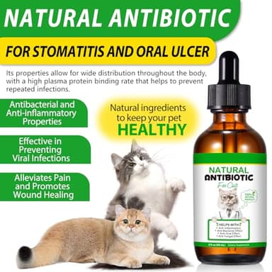 Cat Antibiotics, Antibiotics for Cats, Natural Cat Antibiotics Multivitamin Herbal Supplements 60ml - Image 9