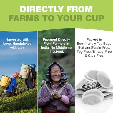 HANDPICK, Organic Green Tea Bags - 100 Eco-Friendly Tea Bags | USDA Organic | Resealable Pack for Freshness | Delicate & Flavory | Direct From India - Image 4
