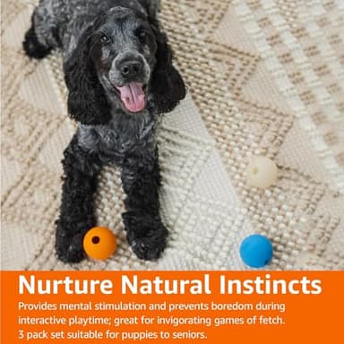 Amazon Basics Dog Toys, Interactive Assorted Rubber Balls, (Pack of 3), 2.5 inch, Blue, Beige, Orange - Image 9