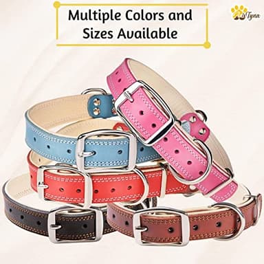 ADITYNA Heavy-Duty Black Leather Dog Collar for Small Dogs - Soft Padded for Comfort - Small Dog Collar for Walking, Training, and Hiking - Image 7