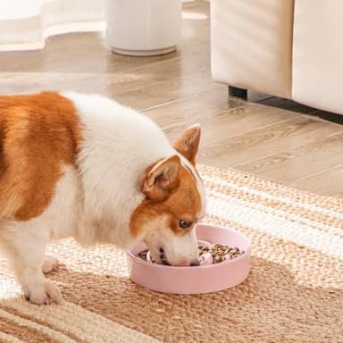 vancasso Slow Feeder Dog Bowl, 1.5 Cups Ceramic Slow Feeder for Medium Breed, Puzzle Maze Food Dog Bowl for Fast Eater, Pink - Image 8