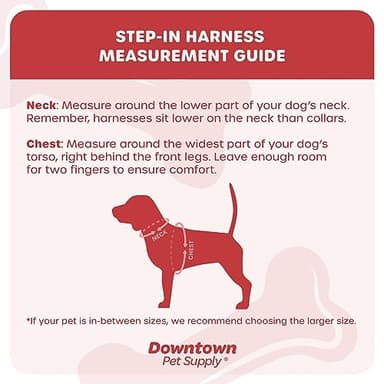 Downtown Pet Supply Step-in Dog Harness – No Pull, Adjustable Padded Mesh with Reflective Trim, Secure Buckle Strap – Comfortable & Breathable Small Dog Harness, Small, Charcoal - Image 2