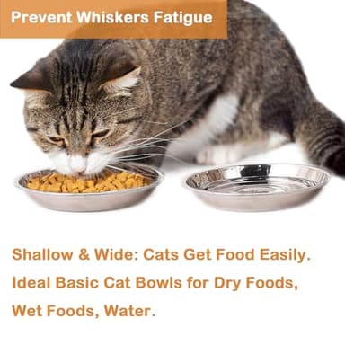 Stainless Steel Cat Bowls, 6.2'' Cat Food Bowls Relief Whisker Fatigue Shallow Cat Food Dish Metal Cat Bowl Basic Cat Bowls (4 Sets) - Image 2