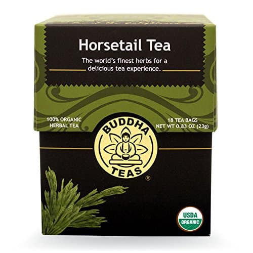 Buddha Teas Horsetail Tea, 18 Count (Pack of 6) - Image 1