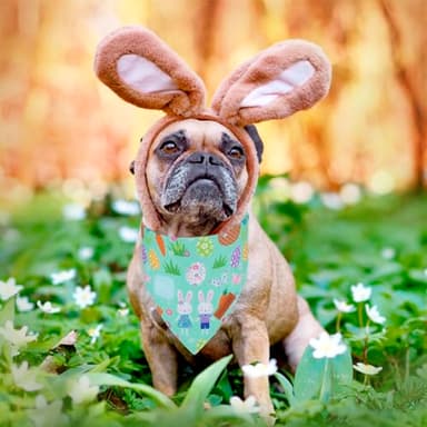 PTDECOR Easter Dog Bandana, Reversible Rabbit Easter Egg Dog Scarf, Multi Size, White Green Bandanas for Medium Large Dogs Pets (White&Green, Large) - Image 3