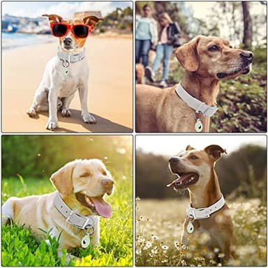 Wisedog Waterproof Dog Collar, Adjustable Soft Rubber Coated Webbing, Odor-Proof and Easy to Clean for Small Medium Large Dogs, with Airtags Case(S|8.5"-12.5" × 4/5 in, Gray) - Image 6