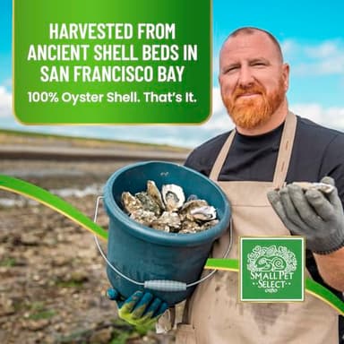 Small Pet Select - 100% Flaked Oyster Shell, Calcium Supplement for Chickens, and Ducks, 5lb - Image 4