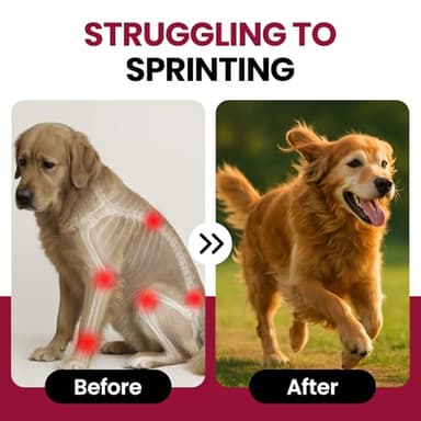 Glucosamine for Dogs Hip and Joint Supplement Chews, Chondroitin Joint Supplement for Dogs, Joint Chews for Dog, Dog Supplement for Joint Pain Relief - 60-Day Satisfaction Guarantee -180 Ct - Image 7