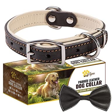 ADITYNA Heavy-Duty Black Leather Dog Collar for Small Dogs - Soft Padded for Comfort - Small Dog Collar for Walking, Training, and Hiking - Image 8