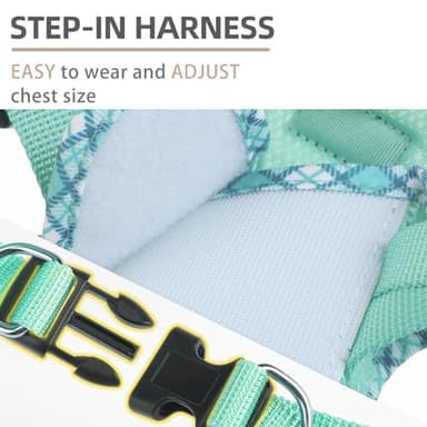 PUPTECK Dog Harness and Leash Set for Small Medium Dogs No Pull Step-in Soft Mesh Puppy Cat Vest Harnesses Reflective at Night, Upgraded New Green XS - Image 5