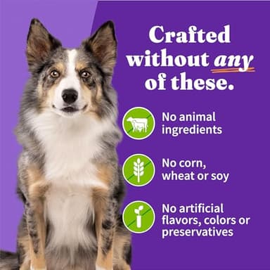 Halo Holistic Vegan Wet Dog Food, Plant-Based Recipe, Canned Dog Food, Complete Digestive Health, Adult Dogs, 5.5 Oz Can (Pack of 12) - Image 5