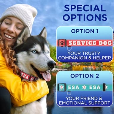 TECEUM Reflective Dog Collar – Teal – M – Extra Soft Padding – Basic Nylon Pet Collar – Quick Release Buckle – Fits Small, Medium and Large Dogs, Puppies, Cats – ESA & Service Dog Options - Image 8