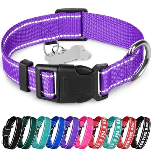 TECEUM Reflective Dog Collar – Violet – S – Basic Nylon Pet Collar – Quick Release Buckle – Fits Small, Medium and Large Dogs, Puppies, Cats – ESA & Service Dog Options - Image 1