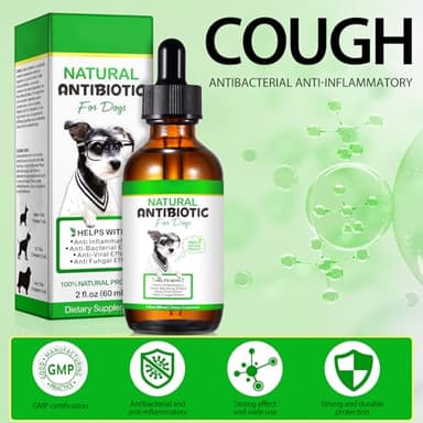 Dog Antibiotics, Natural Antibiotics for Dogs, Dog Multivitamin Herbal Supplements 60ml - Image 6