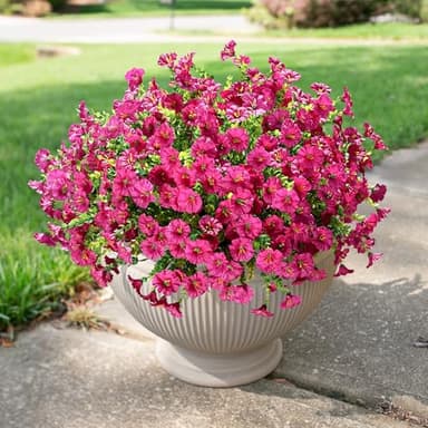 HyeFlora Artificial Flowers for Outdoors Fake Plants, 12 Bundles Faux Fuchsia Morning Glory UV Resistant Look Real Silk Flowers for Outside Planter Front Door Porch Patio Yard Fall Autumn Decoration - Image 9