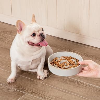 vancasso Slow Feeder Dog Bowl, 0.6 Cups Ceramic Dog Food Dish for Fast Eaters Small Breed, Puzzle Bowl for Small Dogs and Cats, Light Gray - Image 9