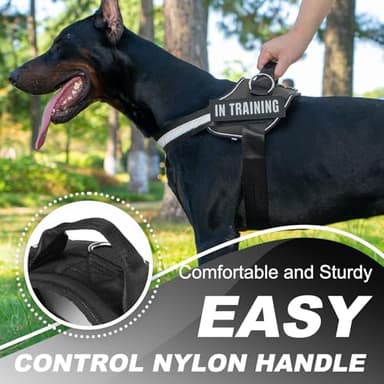 JUSTYEZI Essential Dog Harness with 3 Leash Clips - No-Pull, Adjustable, Comfortable Pet Vest Harness for Small to Large Dogs - Easy On, No Choke, Reflective, Padded Harness for Walking and Training - Image 6