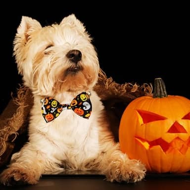 Halloween Dog Collar with Bow tie, Ghost and Pumpkin Holiday Pet Collar for Small Medium Large Dog Puppies - Image 3
